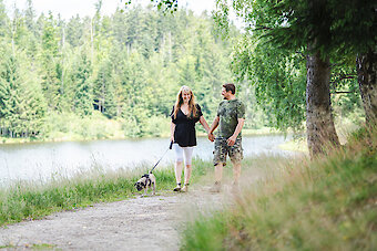 Wandern und Spazieren im Bayerischen Wald